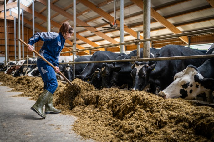 Nabavka stočne hrane i repromaterijala uz povoljan kredit za obrtna sredstva