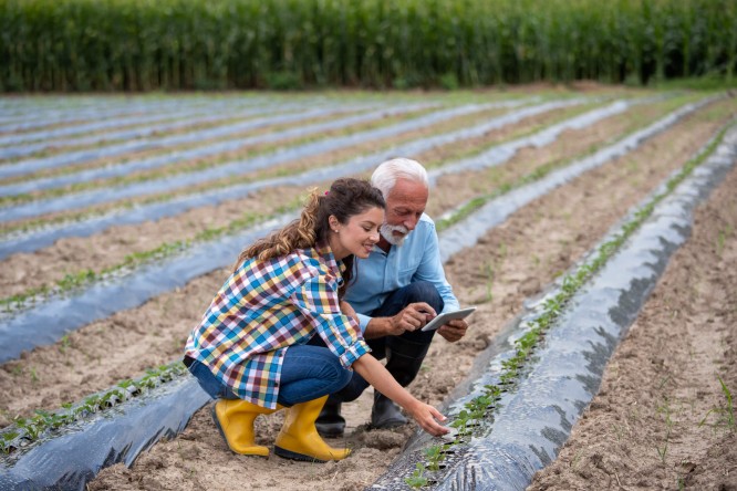 Otac i ćerka na plantaži dok preko tableta koriste usluge Raiffeisen mobilnog bankarstva