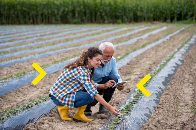 Dvoje ljudi na plantaži preko tableta apliciraju za dinarski kredit za poljoprivrednike sa fiksnom kamatnom stopom